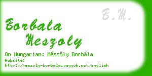 borbala meszoly business card